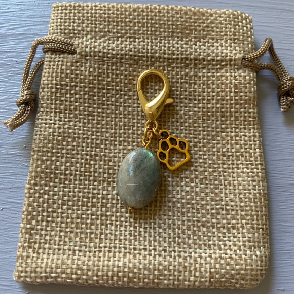 2/20$ Labradorite Pet Charm Crystal Pet Charm Dog Collar Charm - Picture 1 of 3